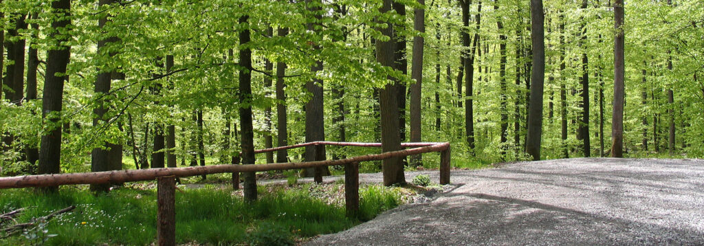 Waldfriedhof Esselbach
